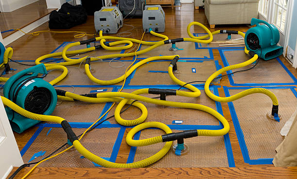 Professional Flood Damage Restoration technician working in Woodlawn, MD